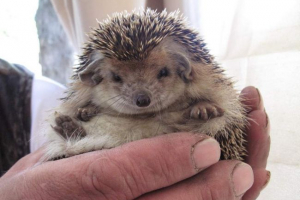 Зоолог - найкраща робота! Зоолог - найкраща робота!